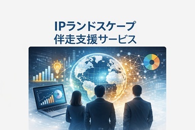IPランドスケープ伴走支援サービス