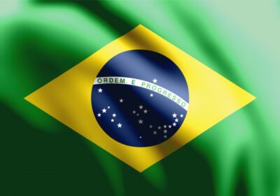 ブラジル特許庁データベース「Busca Web」の使い方とステータス確認方法