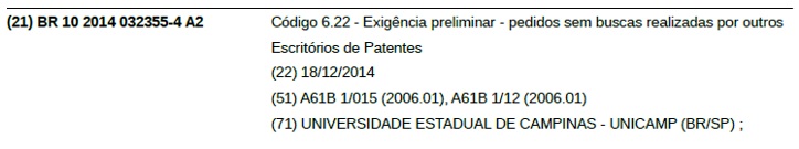 ブラジル特許庁DB：RPI公報の記載内容